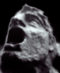 TRA_F32f200914