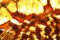 Mio escremento, my escrement, mon escrèment, meine Ausscheidung