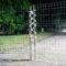 In corso_8