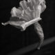 A_00729 copia