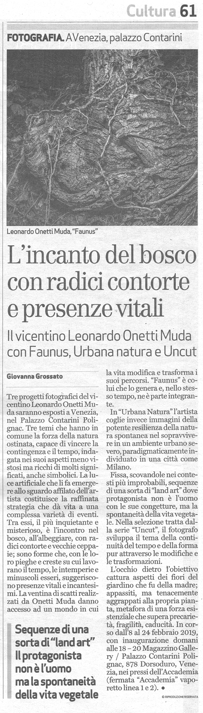 articolo dal titolo "L'incanto del bosco con radici contorte e presenze" di Giovanna Grossato per "Il Giornale di Vicenza" in occasione della mostra personale presso Magazzino Gallery presso Palazzo Contarini Polignac di Venezia
