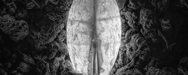 Pαn, fotografia di Leonardo Onetti Muda
